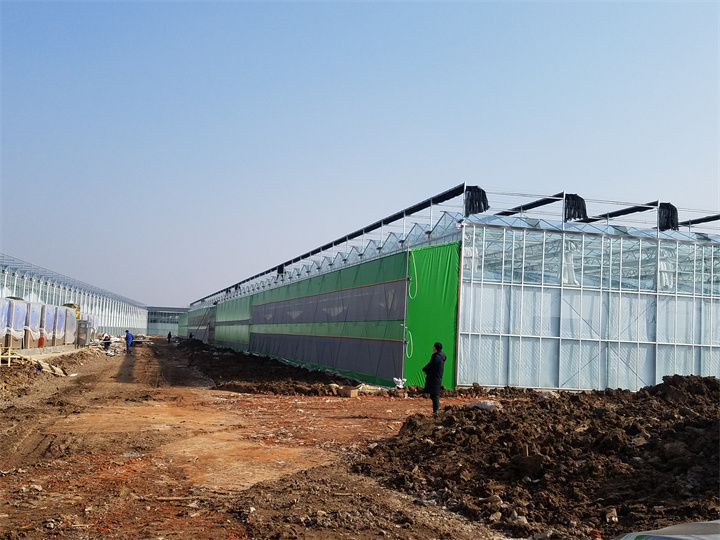 江蘇南京臺創(chuàng)園輸美溫室空氣能加溫